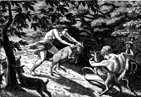 wood-engraving print: Fighting Goats